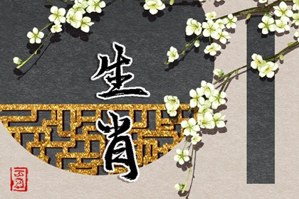 择吉老皇历_老皇历_皇历